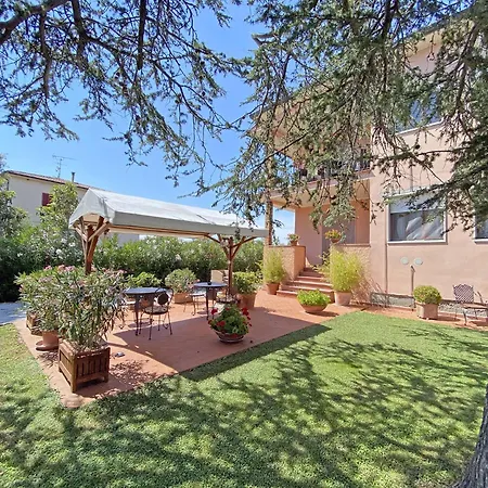 La Mimosa 2